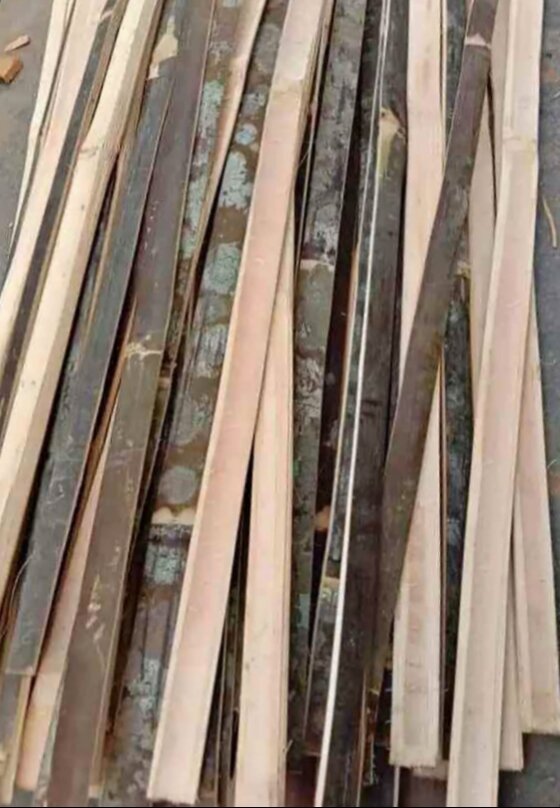 Reng bambu