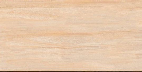 Keramik CENTURY BG (30x60)
